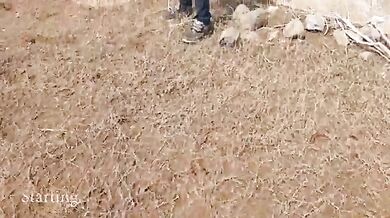 Pahado Beech Choda Desi Couple – Viral Clip